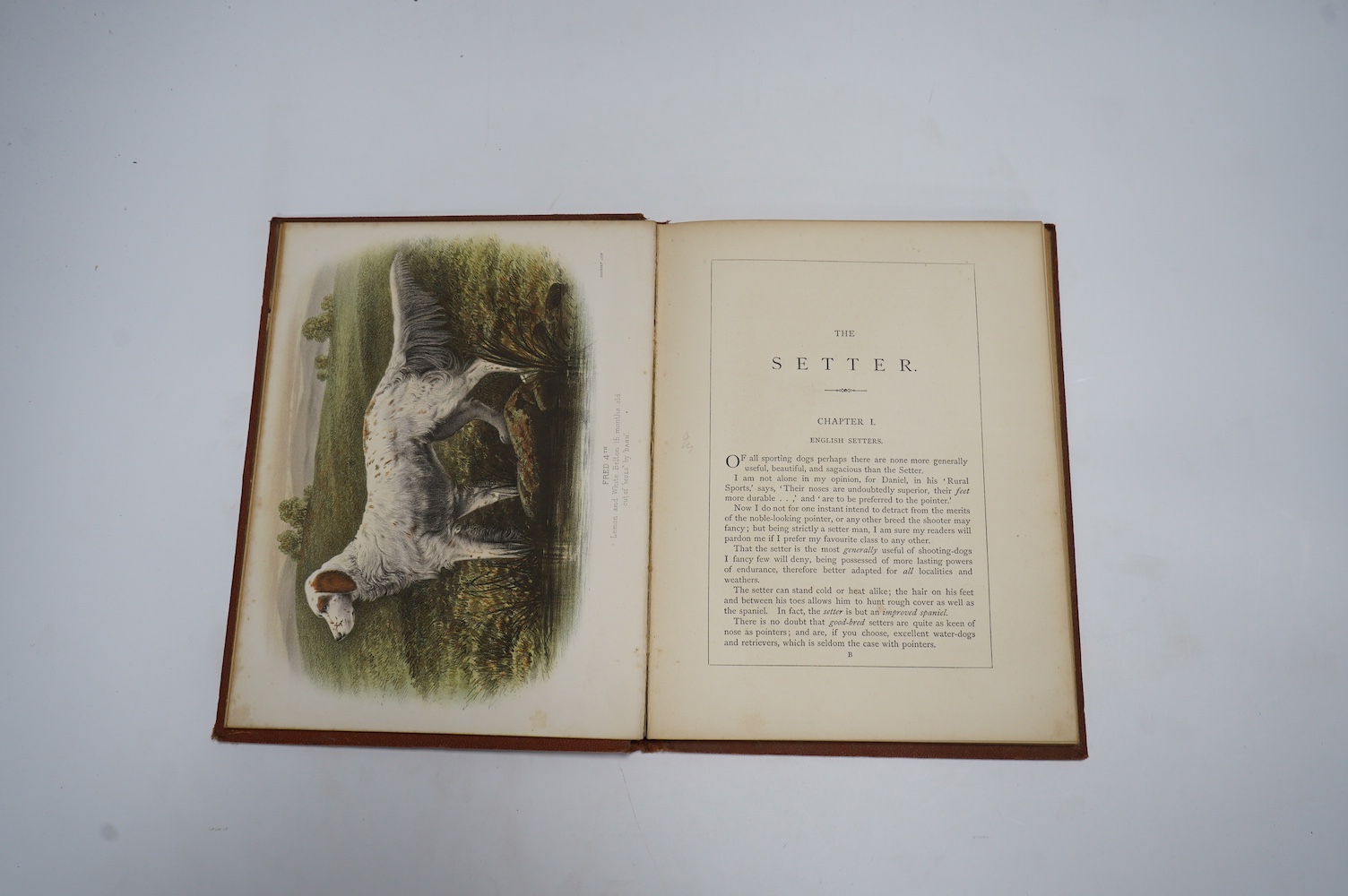 Laverack, Edward - The Setter: with notices of the most eminent breeds now extant ... 1st edition. 2 coloured plates; original blind ruled and gilt decorated cloth with ge. 1872